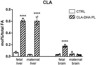 Dietary Phospholipid-Bound Conjugated Linoleic Acid and Docosahexaenoic Acid Incorporation Into Fetal Liver and Brain Modulates Fatty Acid and N-Acylethanolamine Profiles